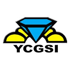 YCGSI